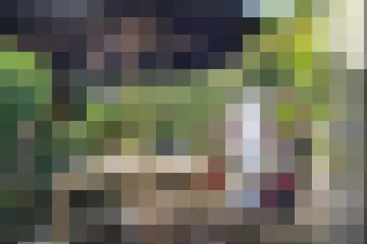 Beeklaan 502 Den Haag thumbnail 17