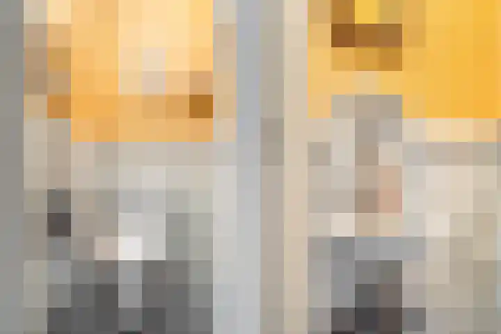 Beeklaan 502 Den Haag thumbnail 5