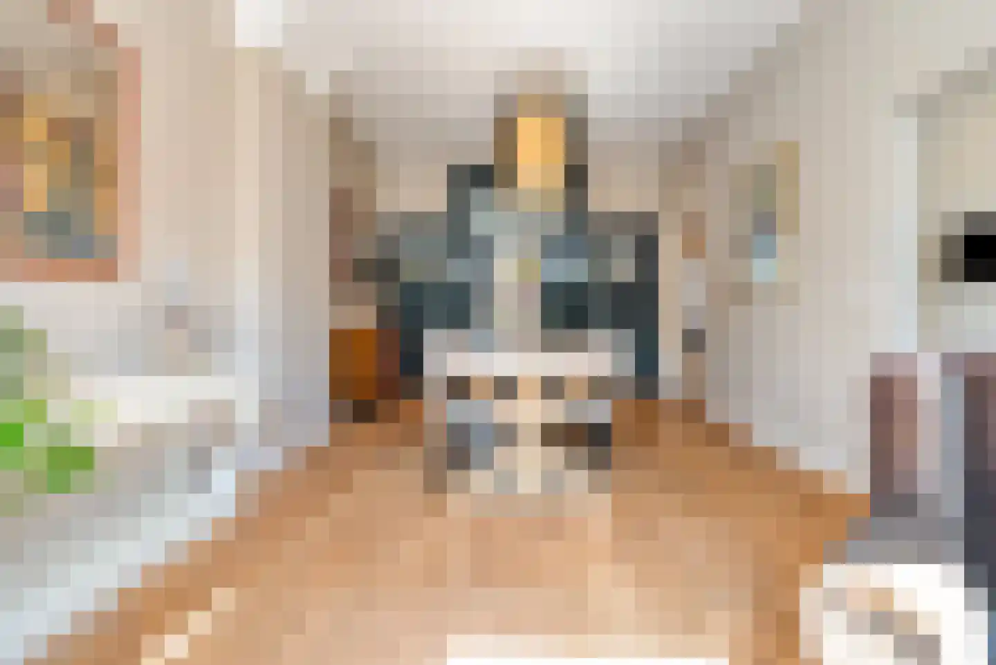 Beeklaan 524 Den Haag thumbnail 15