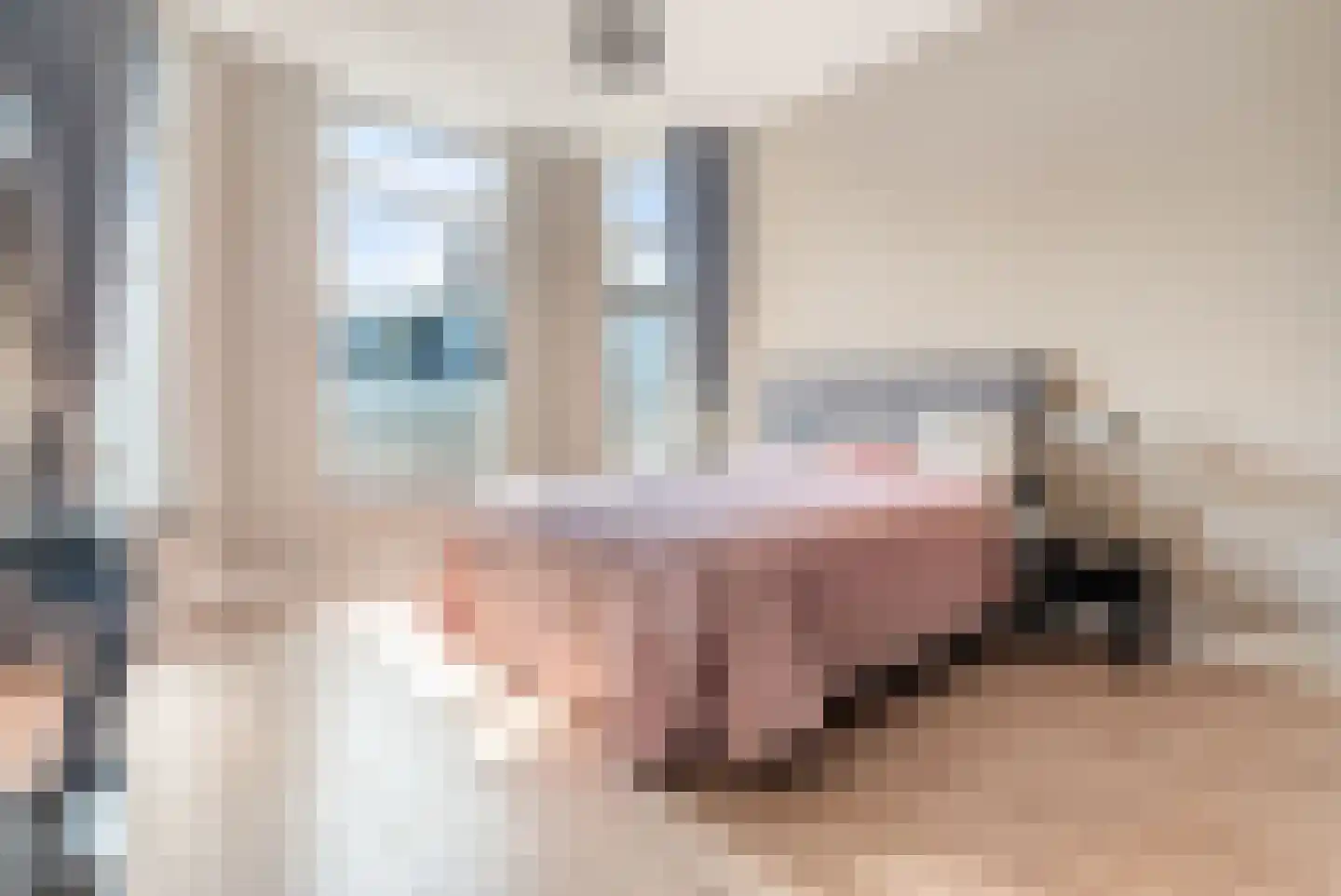 Beeklaan 524 Den Haag thumbnail 24