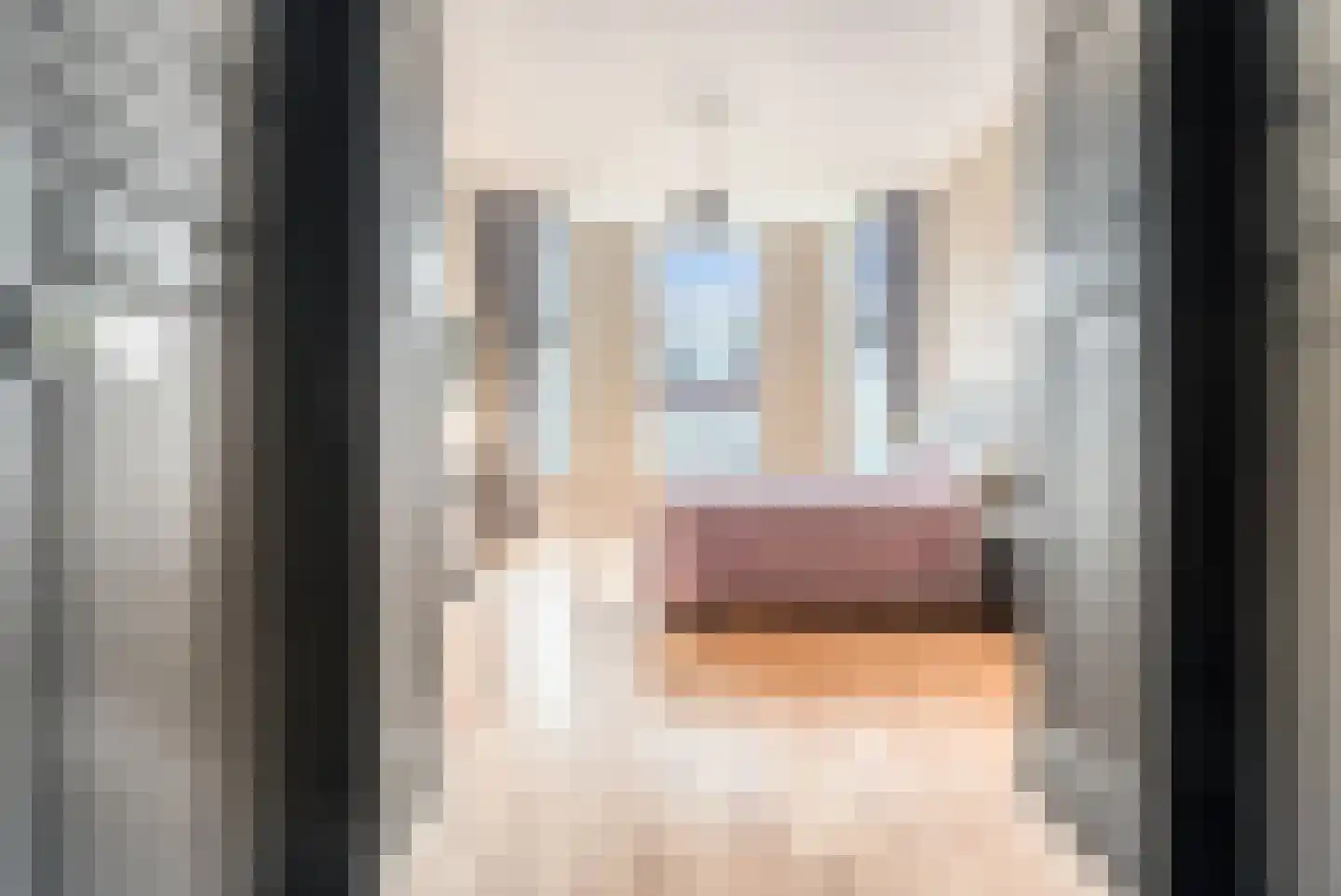 Beeklaan 524 Den Haag thumbnail 29