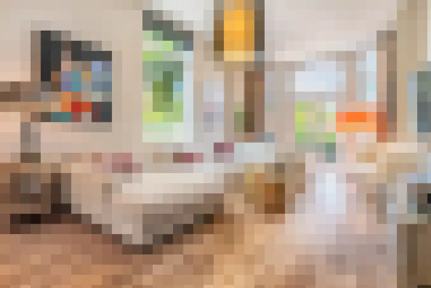 Beeklaan 524 Den Haag thumbnail 7