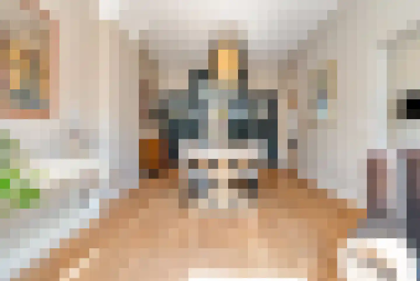 Beeklaan 524 Den Haag thumbnail 9