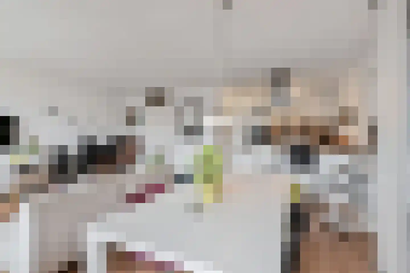 Beeklaan 568 Den Haag thumbnail 5
