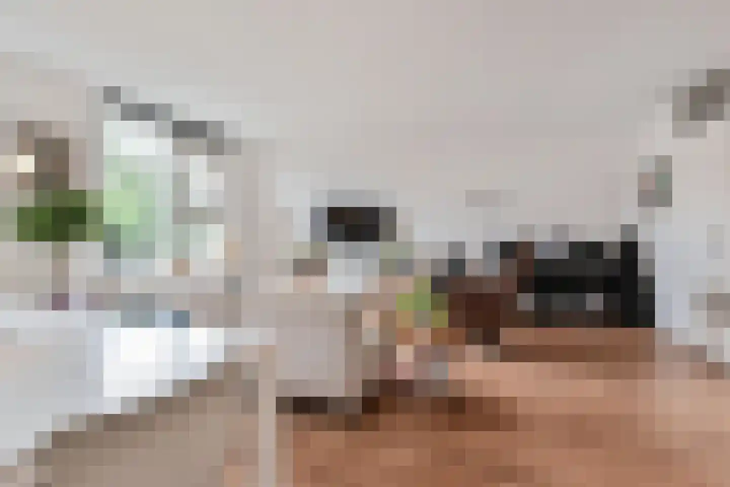 Beeklaan 568 Den Haag thumbnail 6