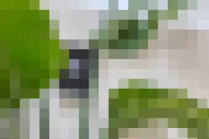 Beeklaan 6 Aalten thumbnail 11