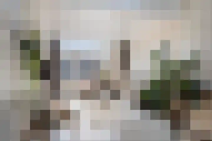 Beeklaan 6 Aalten foto 3