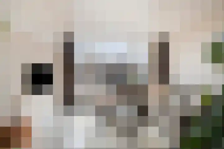 Beeklaan 6 Aalten thumbnail 4