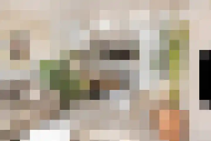 Beeklaan 6 Aalten thumbnail 5