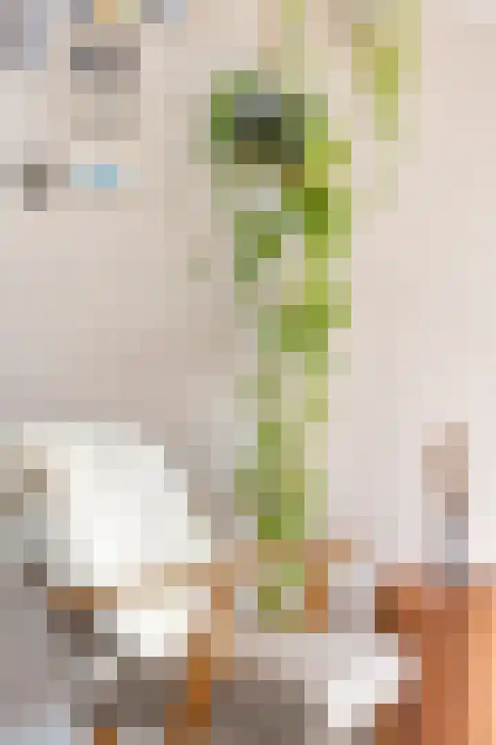 Beeklaan 6 Aalten thumbnail 6