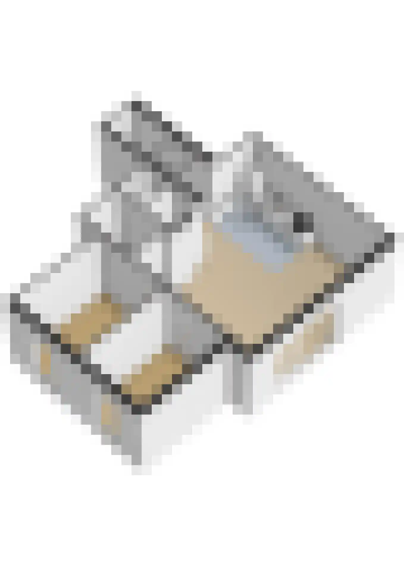 Beeklaan 6 Oldebroek thumbnail 36