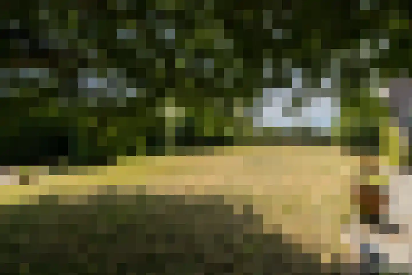 Beeklaan 68 Hillegom thumbnail 4