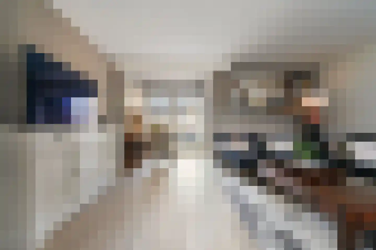 Beeklaan 7 Tilburg thumbnail 12