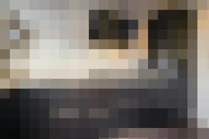 Beeklaan 7 Tilburg thumbnail 22