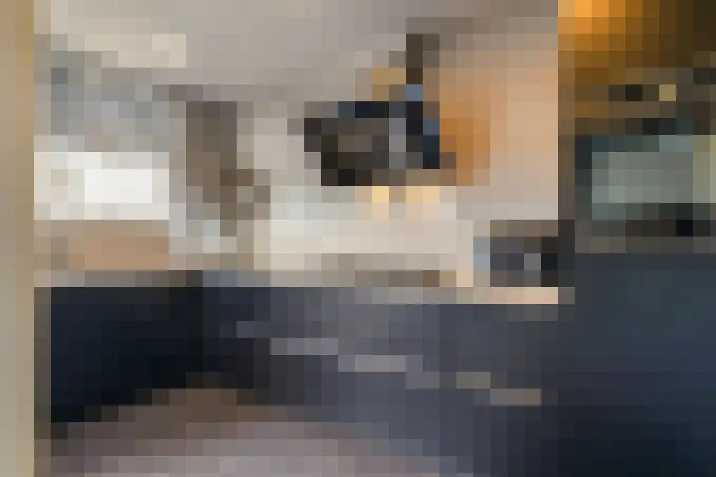 Beeklaan 7 Tilburg thumbnail 6