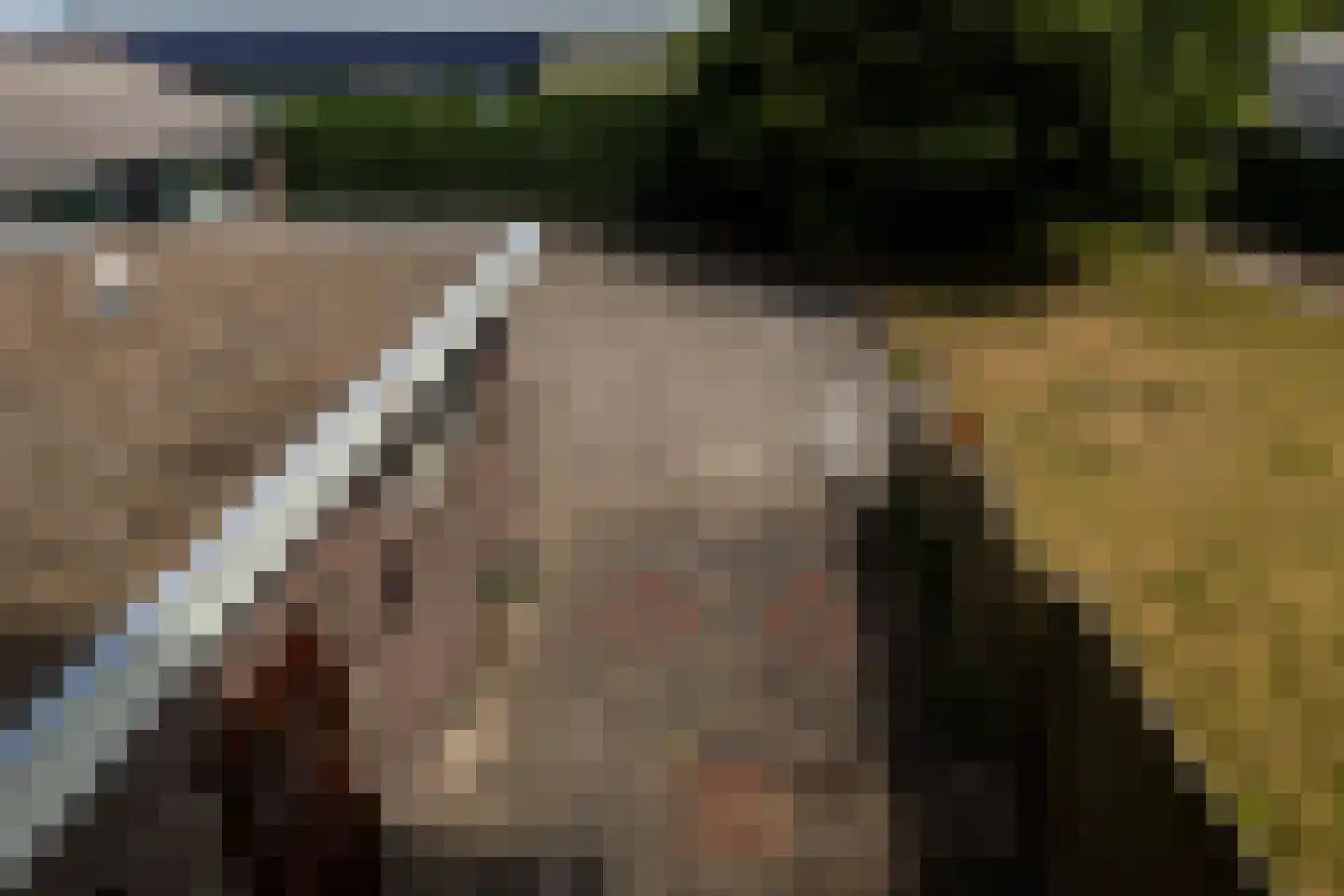 Beeklaan 70 Hillegom thumbnail 30