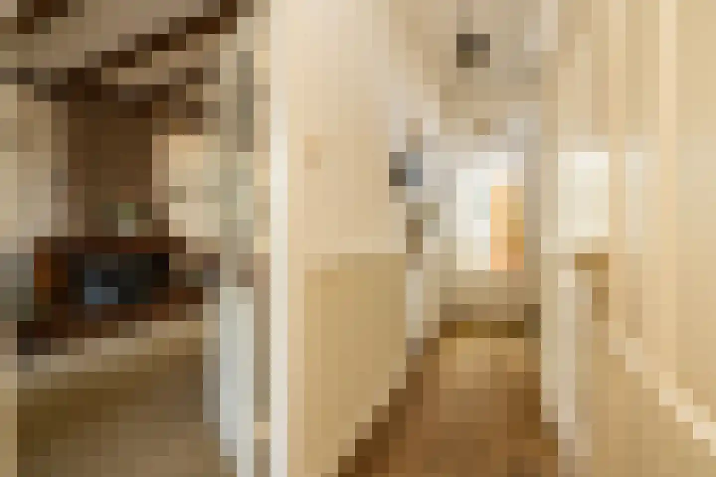 Beeklaan 70 Hillegom thumbnail 4