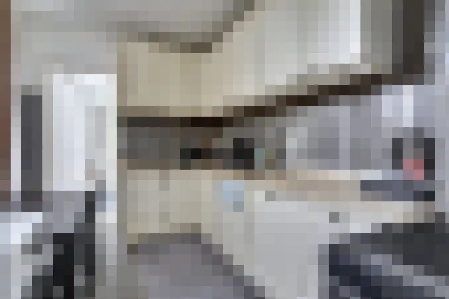 Beeklaan 71 E Den Haag thumbnail 10