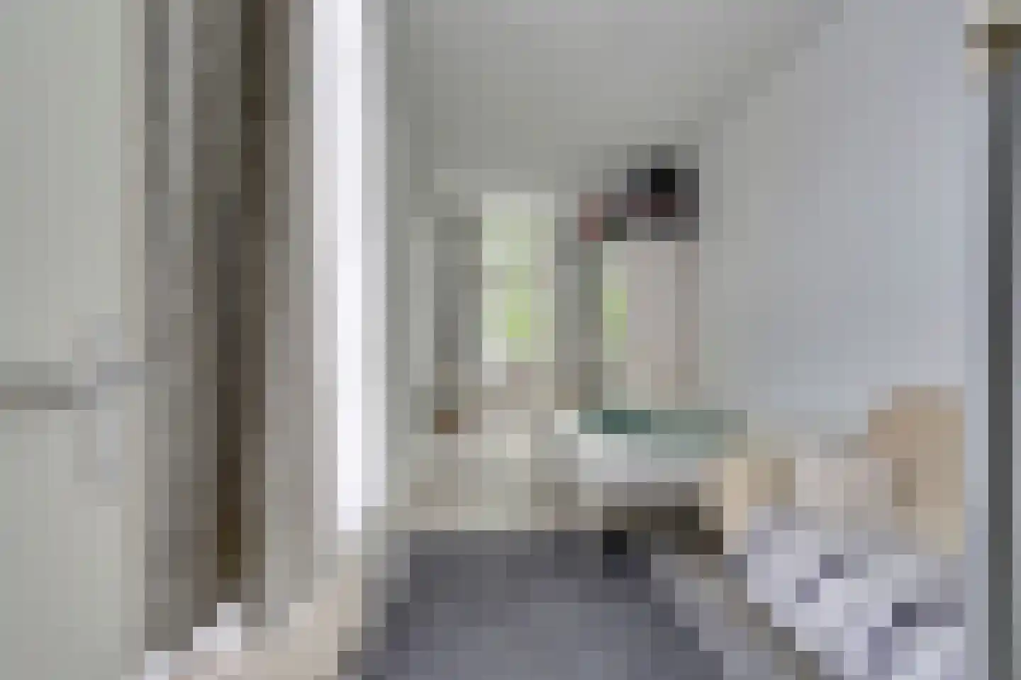 Beeklaan 71 E Den Haag thumbnail 16