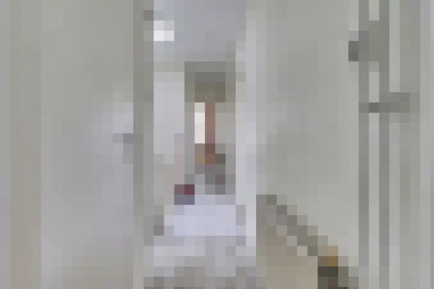 Beeklaan 71 E Den Haag thumbnail 5
