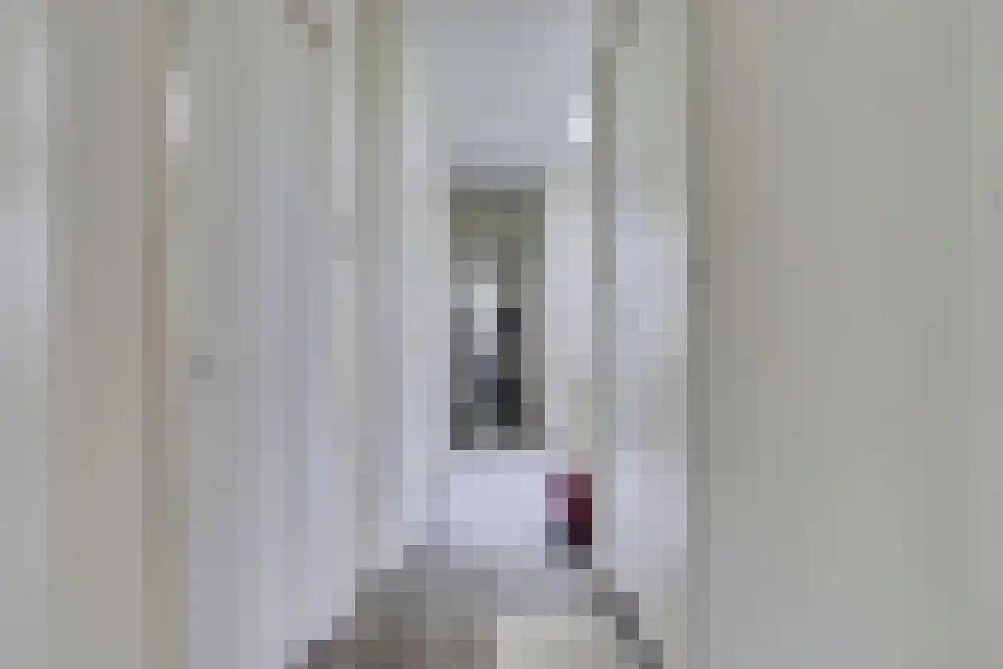 Beeklaan 71 E Den Haag thumbnail 6