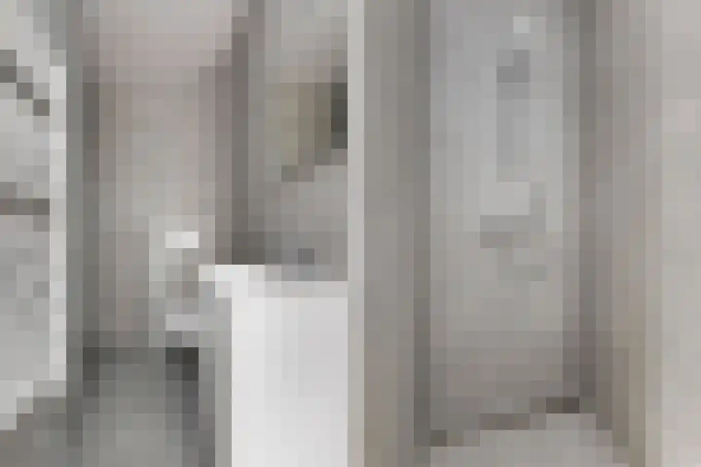 Beeklaan 8 Oldebroek thumbnail 21