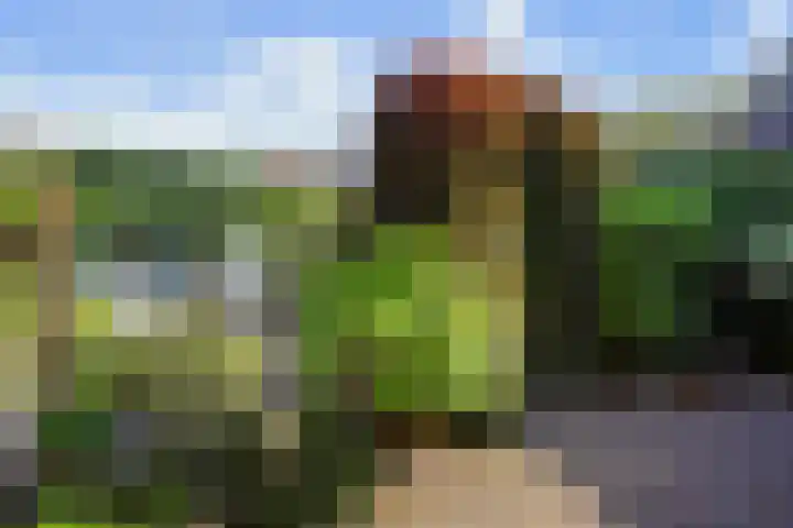 Beeklaan 82 Tilburg thumbnail 24