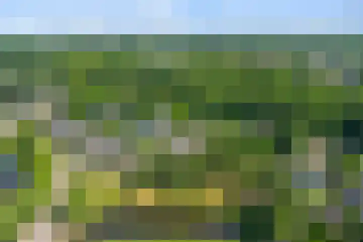 Beeklaan 82 Tilburg thumbnail 30