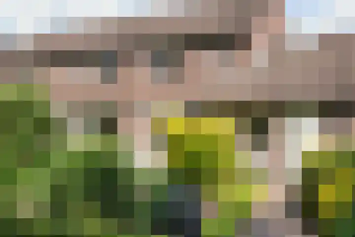 Beeklaan 82 Tilburg thumbnail 6