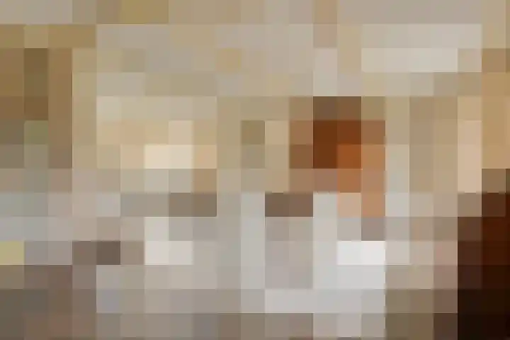 Beeklaan 85 Tilburg thumbnail 11