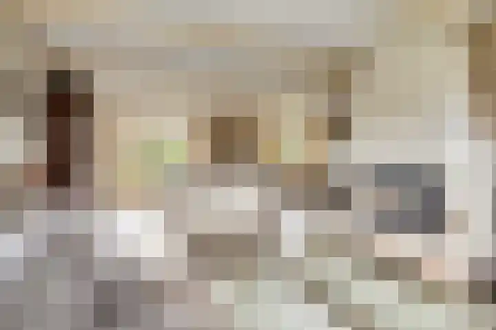 Beeklaan 85 Tilburg thumbnail 13
