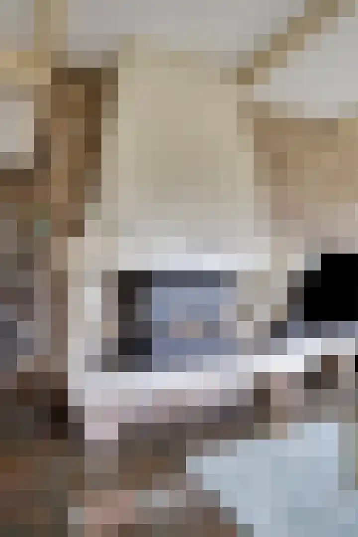Beeklaan 85 Tilburg thumbnail 14
