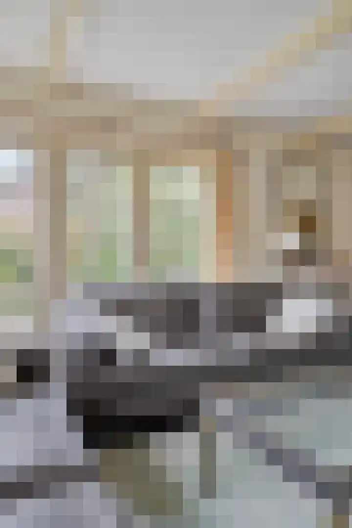 Beeklaan 85 Tilburg thumbnail 15