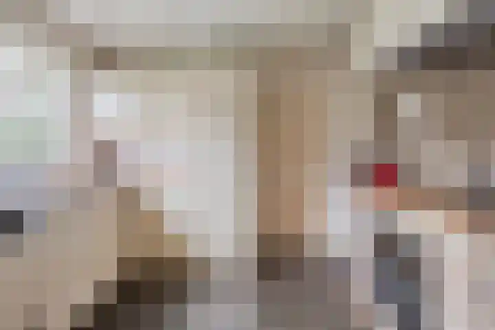 Beeklaan 85 Tilburg thumbnail 19