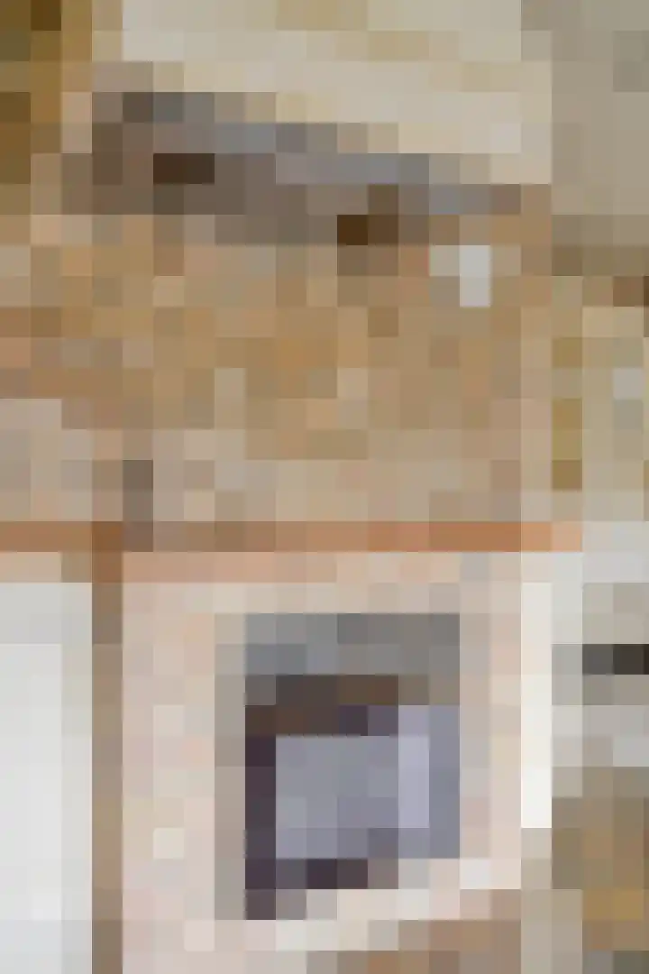 Beeklaan 85 Tilburg thumbnail 21