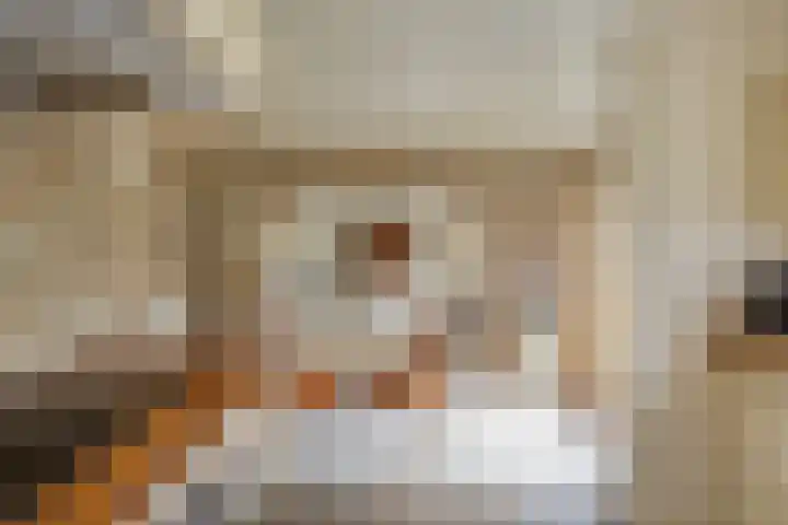 Beeklaan 85 Tilburg thumbnail 22