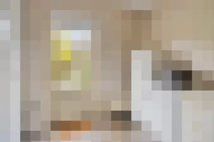 Beeklaan 85 Tilburg thumbnail 23