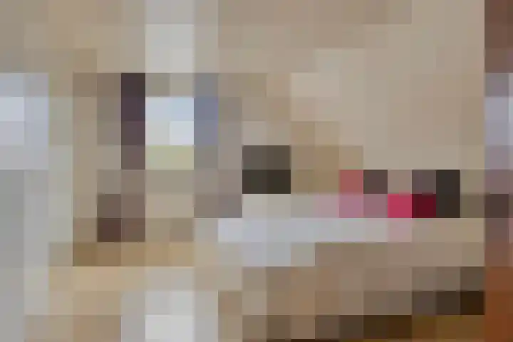Beeklaan 85 Tilburg thumbnail 28