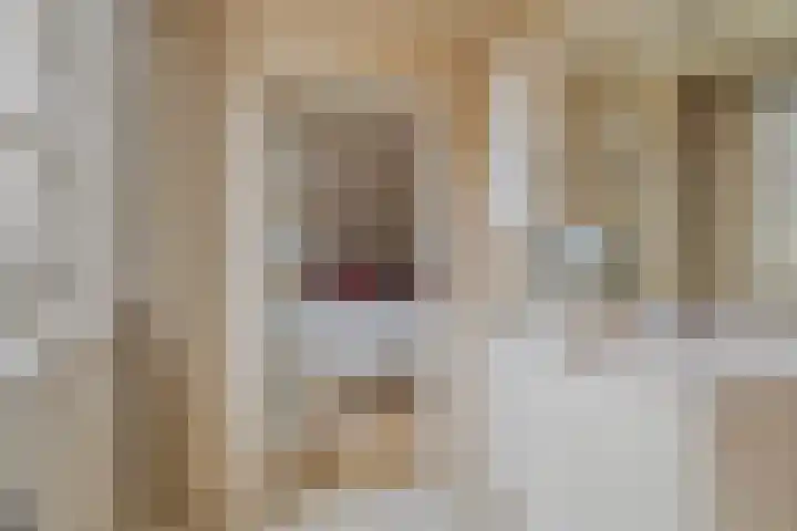 Beeklaan 85 Tilburg thumbnail 31