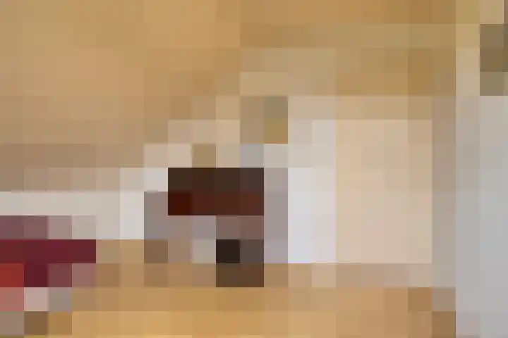 Beeklaan 85 Tilburg thumbnail 35