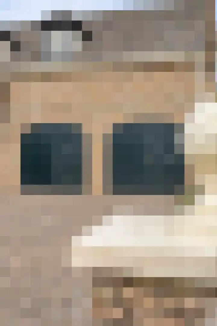 Beeklaan 85 Tilburg thumbnail 4