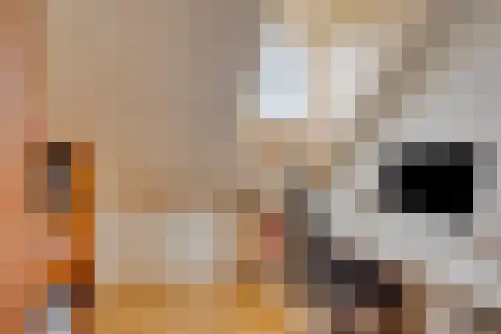 Beeklaan 85 Tilburg thumbnail 42