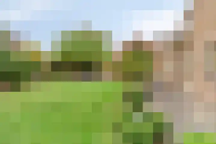 Beeklaan 85 Tilburg thumbnail 44