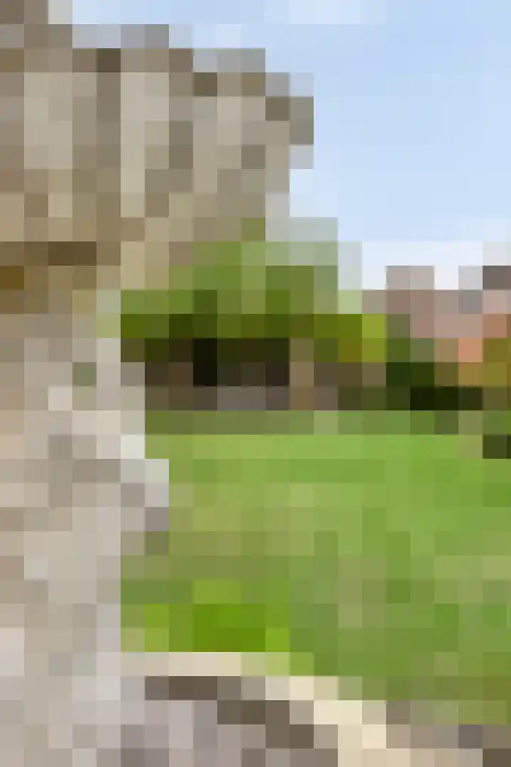 Beeklaan 85 Tilburg thumbnail 47