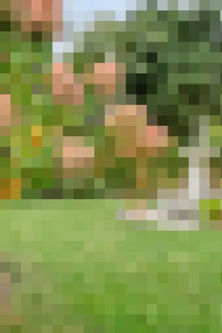 Beeklaan 85 Tilburg thumbnail 48