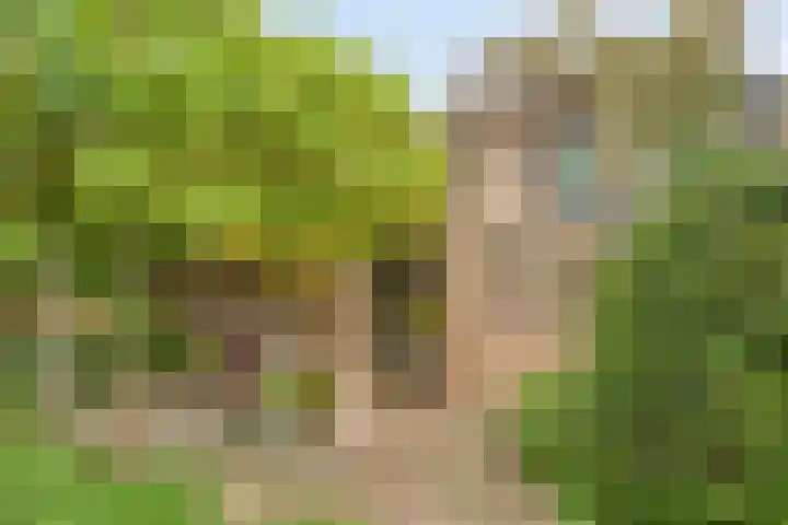 Beeklaan 85 Tilburg thumbnail 49