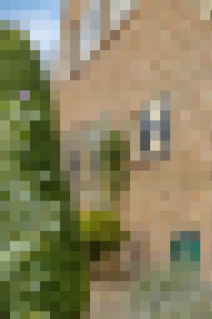 Beeklaan 85 Tilburg thumbnail 5