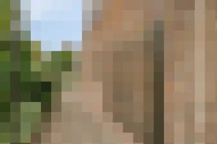 Beeklaan 85 Tilburg thumbnail 55