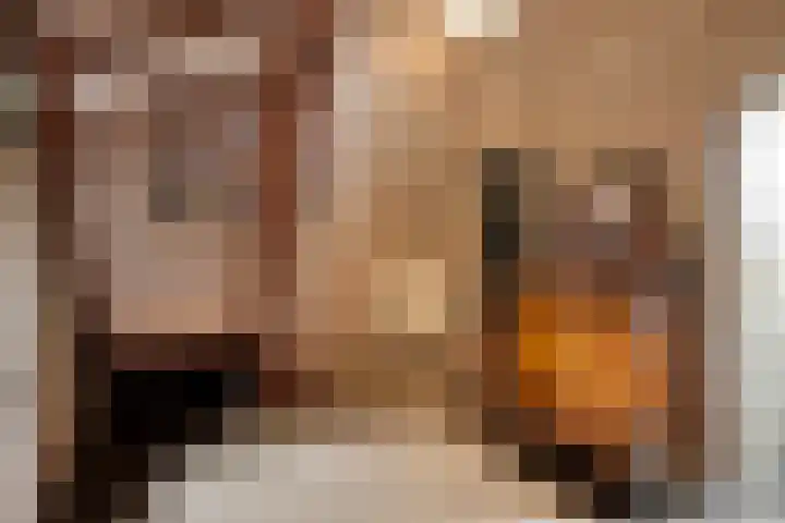 Beeklaan 85 Tilburg thumbnail 7