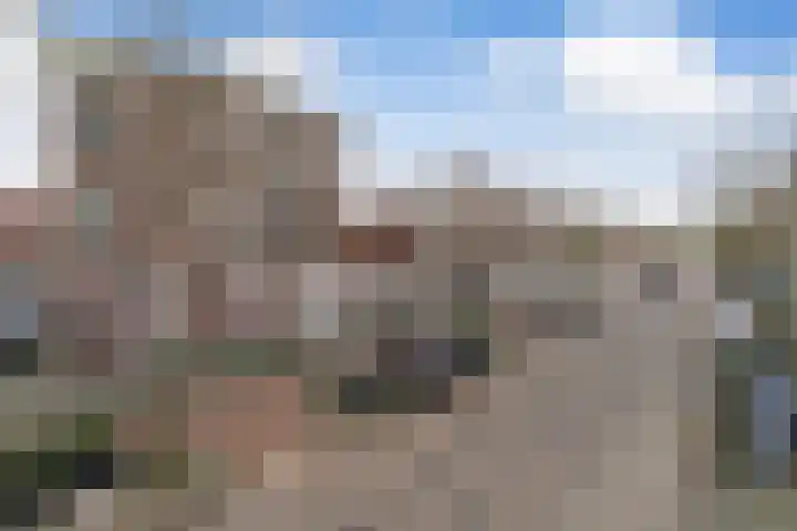 Beeklaan 87 A Den Haag thumbnail 20